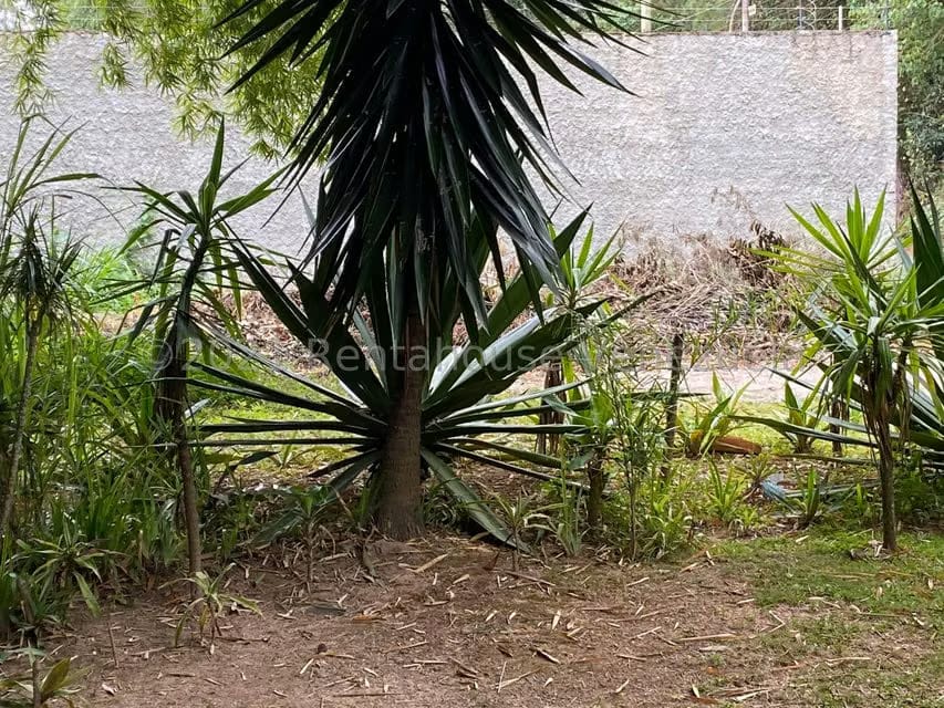 Terreno (Residencial) en Venta en Alto Hatillo, Distrito Metropolitano - 18