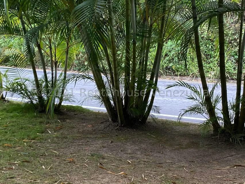 Terreno (Residencial) en Venta en Alto Hatillo, Distrito Metropolitano - 19