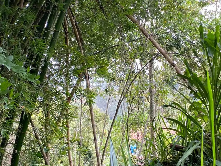 Terreno (Residencial) en Venta en Alto Hatillo, Distrito Metropolitano - 4
