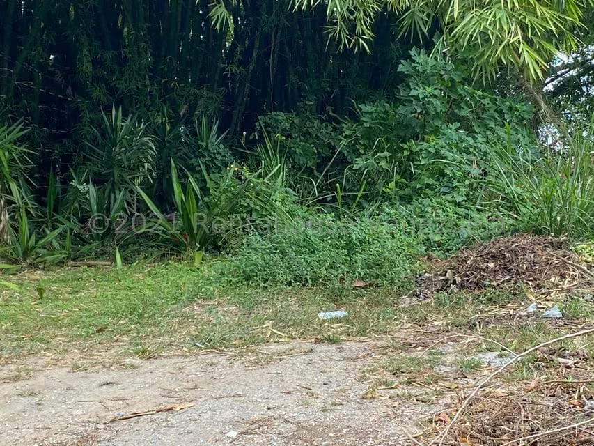 Terreno (Residencial) en Venta en Alto Hatillo, Distrito Metropolitano - 9