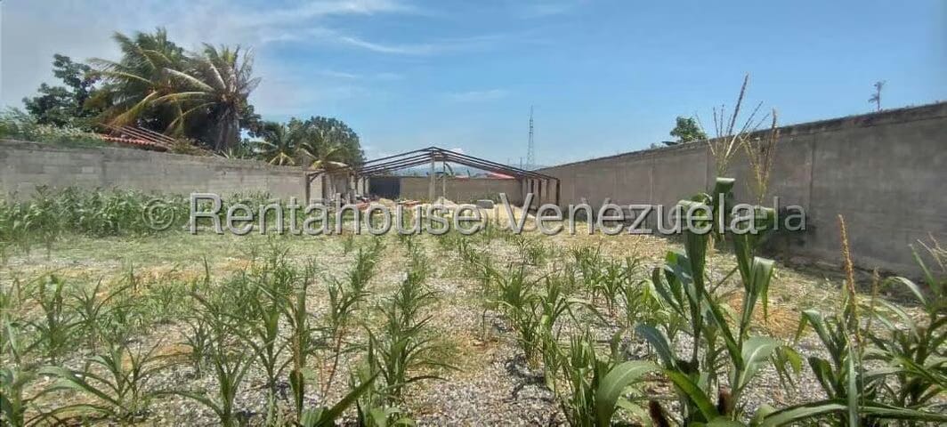Terreno (Comercial) en Venta en La Piedad Norte, Lara - 6
