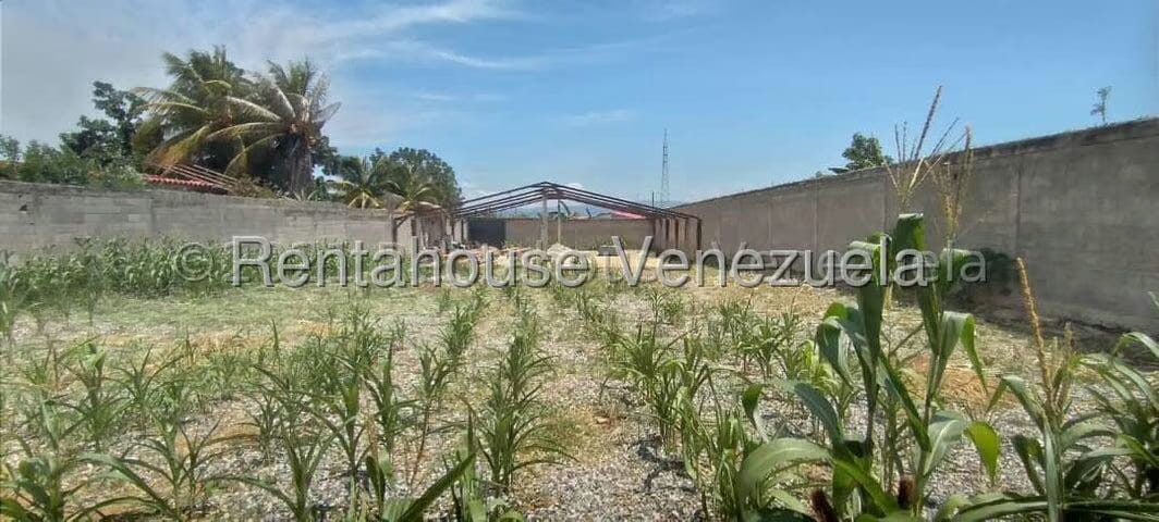 Terreno (Comercial) en Venta en La Piedad Norte, Lara - 7