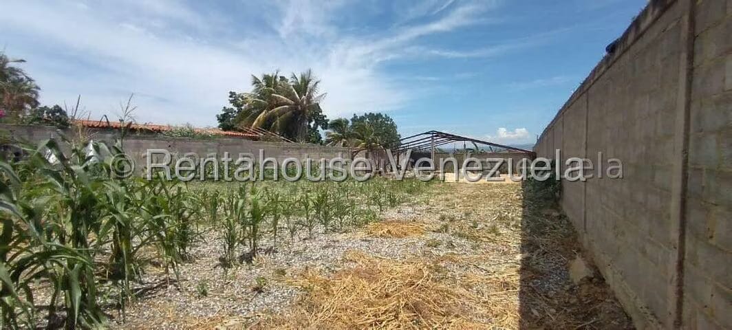 Terreno (Comercial) en Venta en La Piedad Norte, Lara - 8