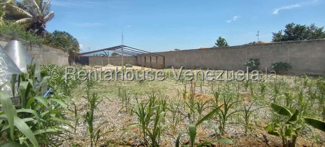 Terreno (Comercial) en Venta en La Piedad Norte, Lara - 9