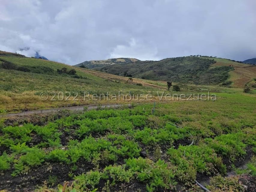 Terreno (Finca) en Venta en La Playa, Merida - 2