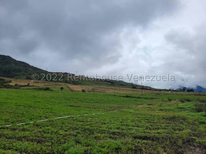 Terreno (Finca) en Venta en La Playa, Merida - 14