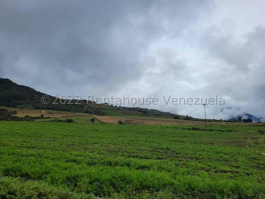 Terreno (Finca) en Venta en La Playa, Merida - 5