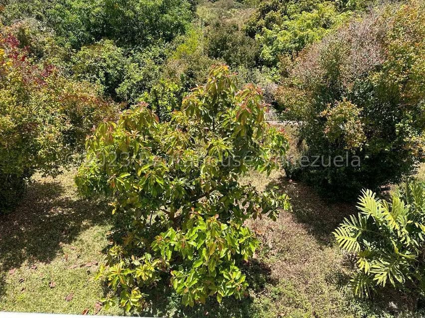 Casa (Multipes Niveles) en Venta en Colinas de Carrizal, Miranda - 47