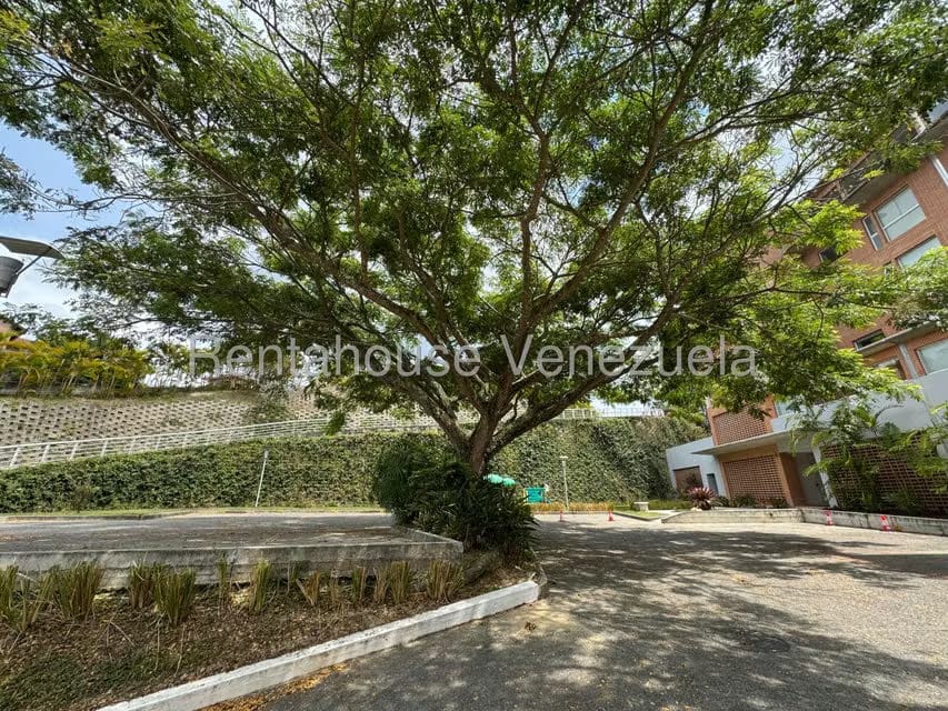 Apartamento (Penthouse) en Venta en Loma Linda, Distrito Metropolitano - 74