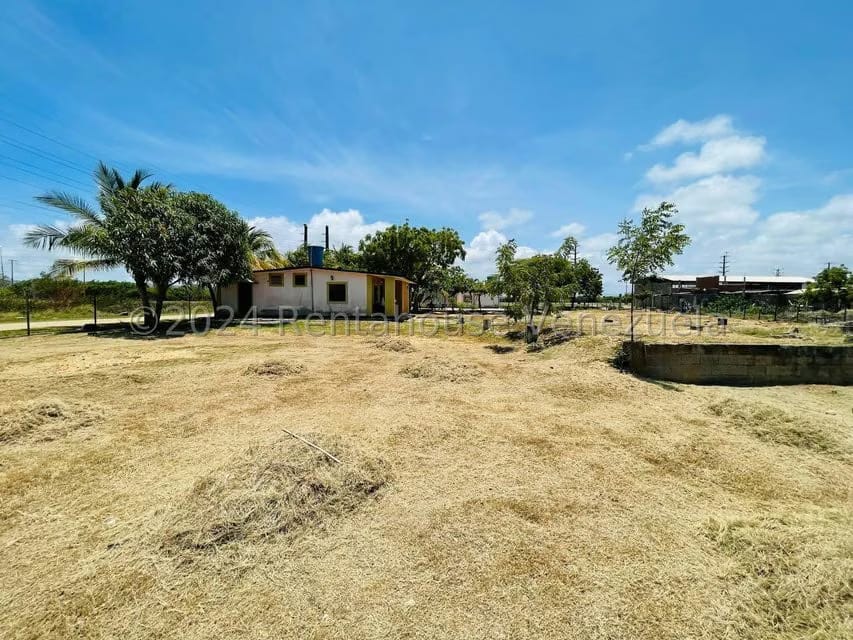 Terreno (Comercial) en Venta en Malecon, Falcon - 36