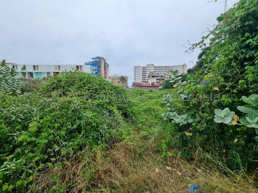Terreno (Residencial) en Venta en Playa Grande, Vargas - 8