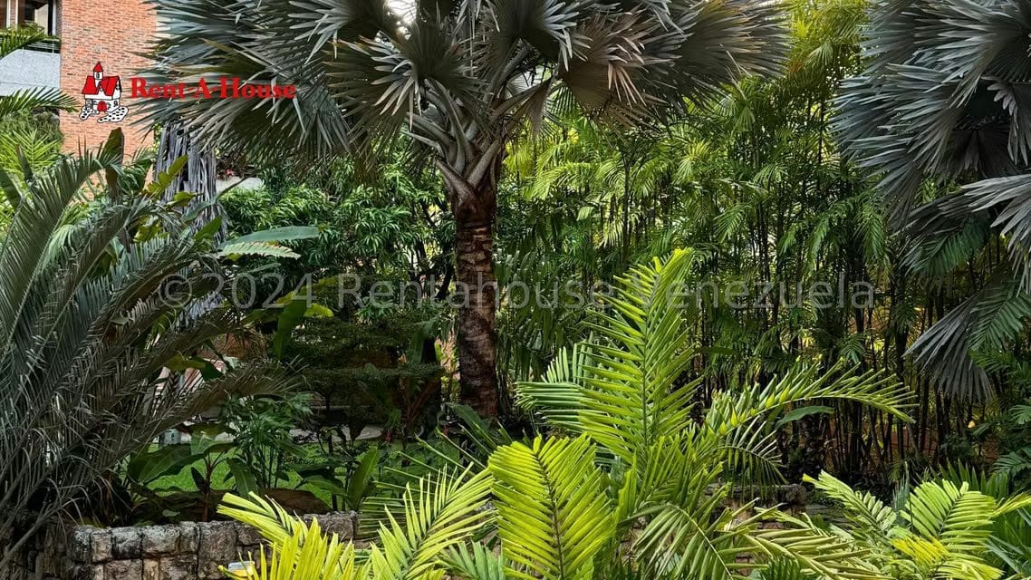Apartamento (1 Nivel) en Venta en Campo Alegre, Distrito Metropolitano - 24