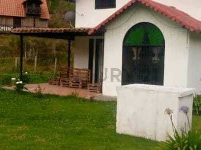 Venta de Terreno con acogedor chalet tipo cabaña en la Colonia Tovar - 2