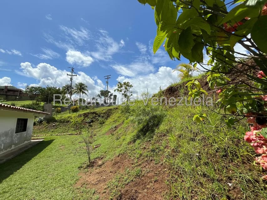 Casa (1 Nivel) en Venta en Villa Virginia, Aragua - 25
