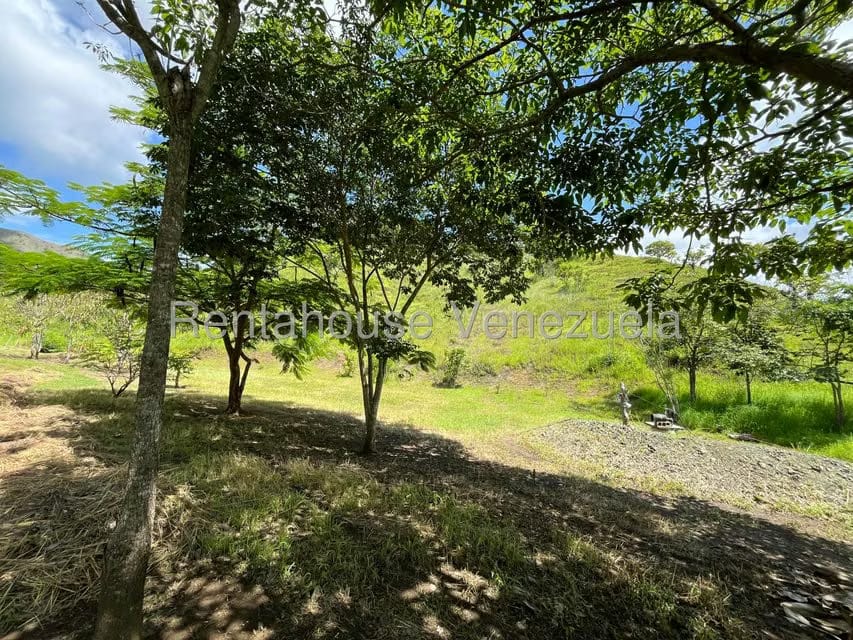 Casa (1 Nivel) en Venta en Villa Virginia, Aragua - 27