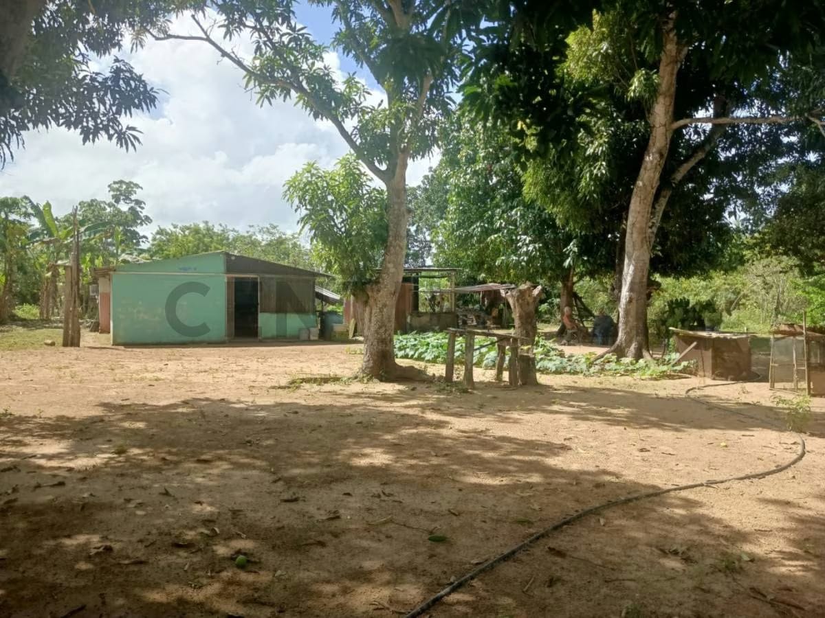 Finca En Venta. Sector Los Pozos de Guanipa