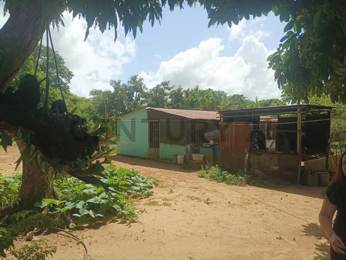 Finca En Venta. Sector Los Pozos de Guanipa - 2
