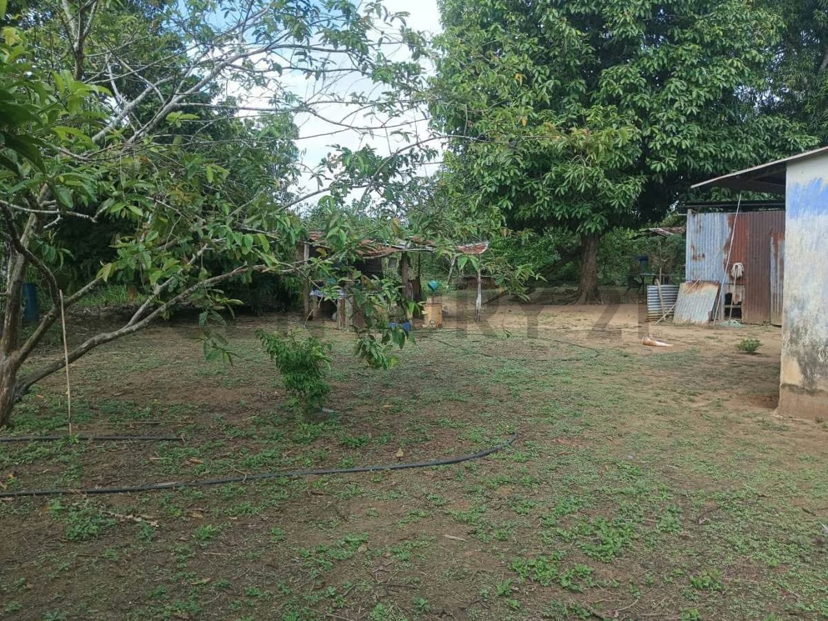 Finca En Venta. Sector Los Pozos de Guanipa - 3