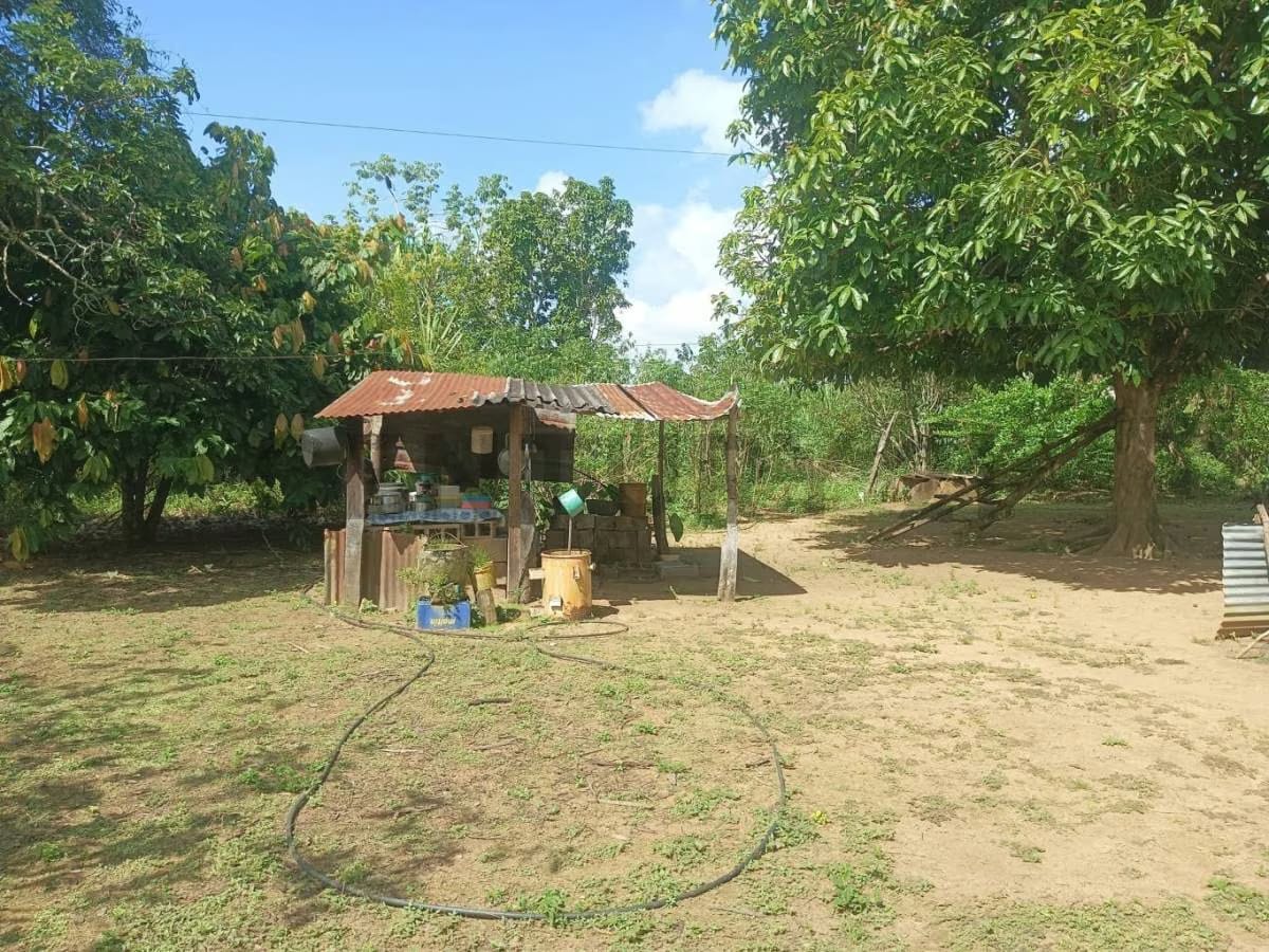Finca En Venta. Sector Los Pozos de Guanipa - 5
