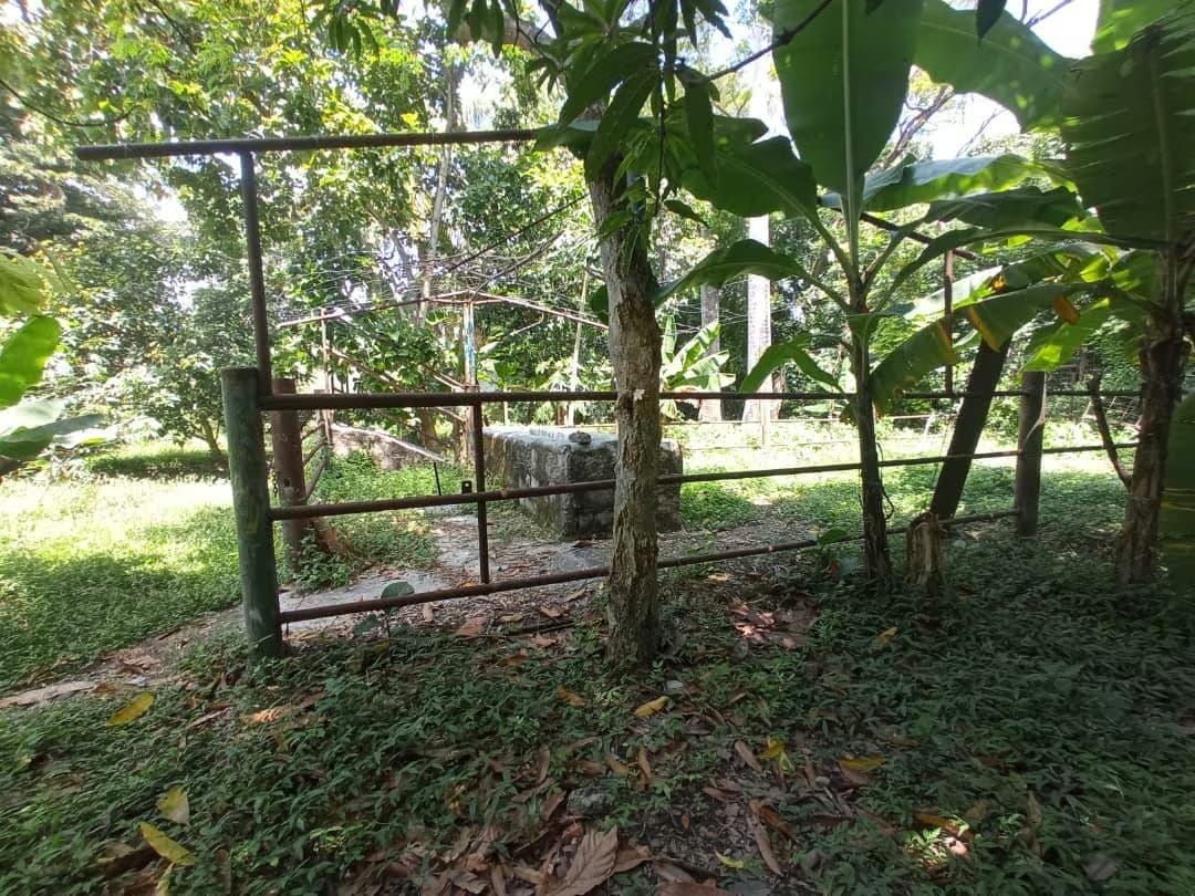 Casa en Venta - Urb. La Castellana - San Joaquín - Estado Carabobo - 4