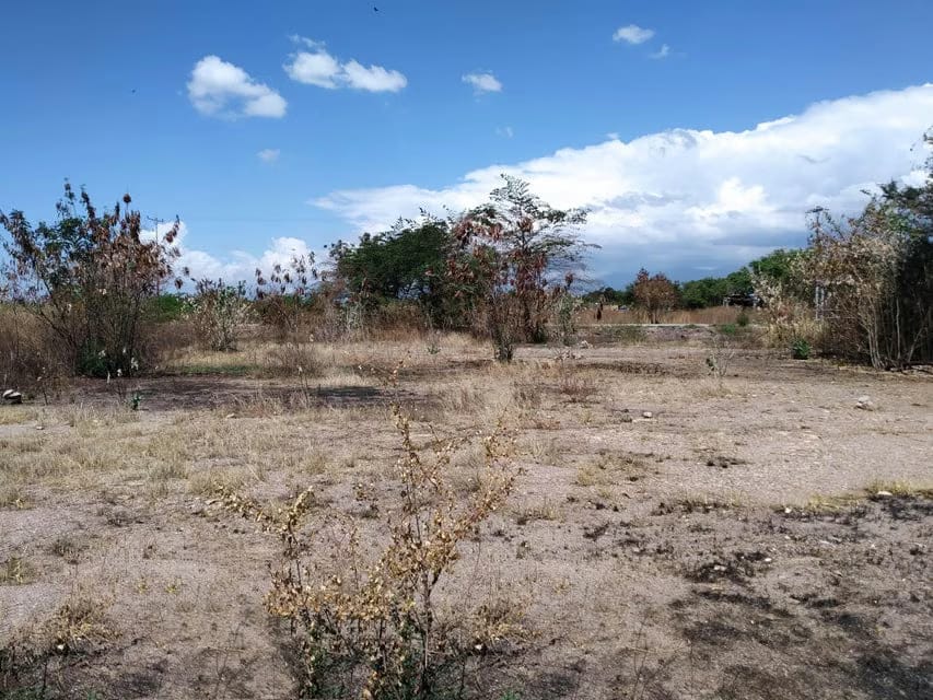 Terreno (Comercial) en Venta en Valle Jardin, Aragua - 2