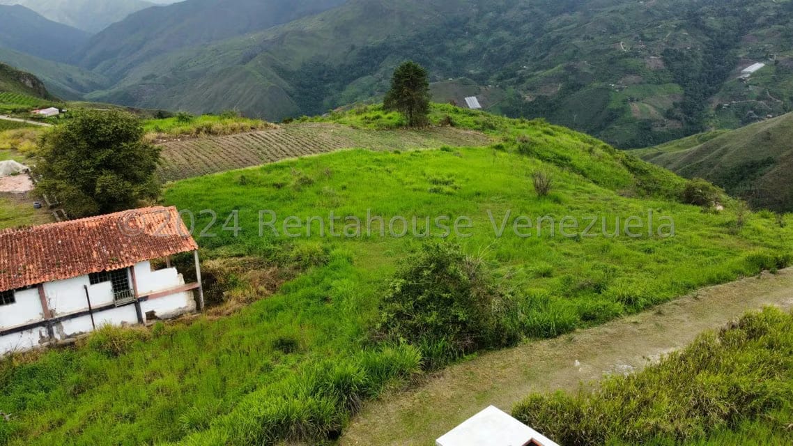 Casa (Hacienda) en Venta en Sector Potrero Perdido, Aragua - 24