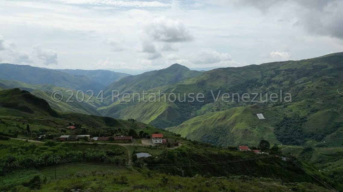 Casa (Hacienda) en Venta en Sector Potrero Perdido, Aragua - 4