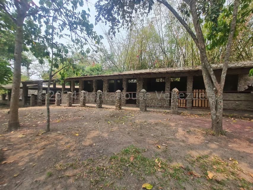 Terreno (Residencial) en Venta en San Felipe, Yaracuy - 17
