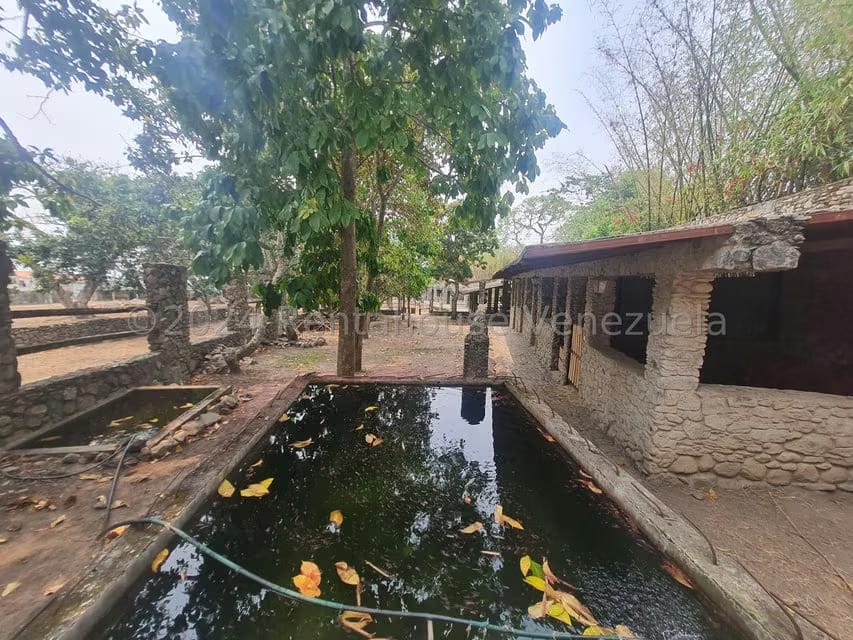 Terreno (Residencial) en Venta en San Felipe, Yaracuy - 22
