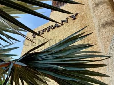 Amplio Apartamento en el Sector Bellas Artes