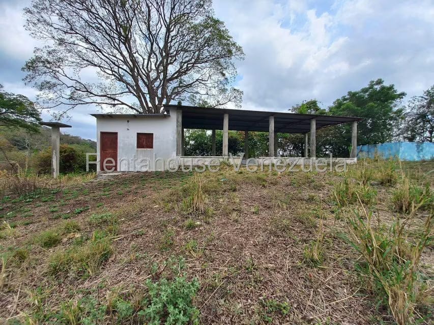 Terreno (Finca) en Venta en Centro, Lara - 28