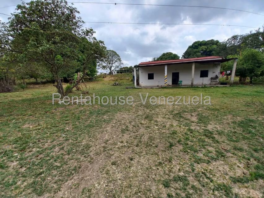 Terreno (Finca) en Venta en Centro, Lara - 7