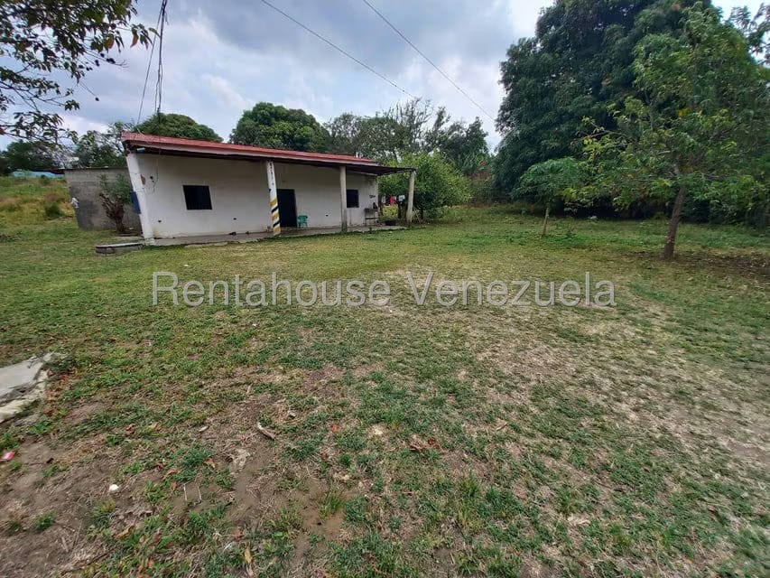 Terreno (Finca) en Venta en Centro, Lara - 9