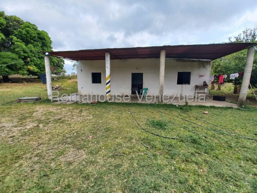 Terreno (Finca) en Venta en Centro, Lara - 10