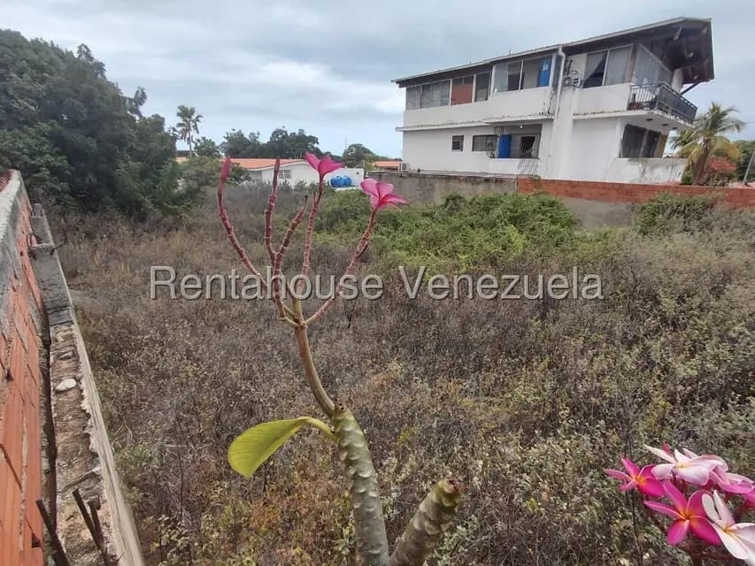 Terreno (Comercial) en Venta en Palmar Este, Vargas - 4