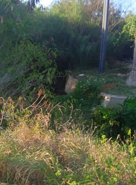 PARCELAS DE TERRENO, MANEIRO, ISLA DE MARGARITA - 5