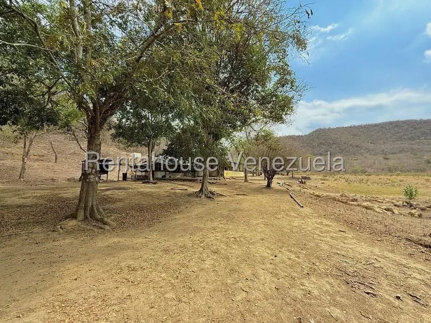 Terreno (Finca) en Venta en Municipio Peña, Yaracuy - 22