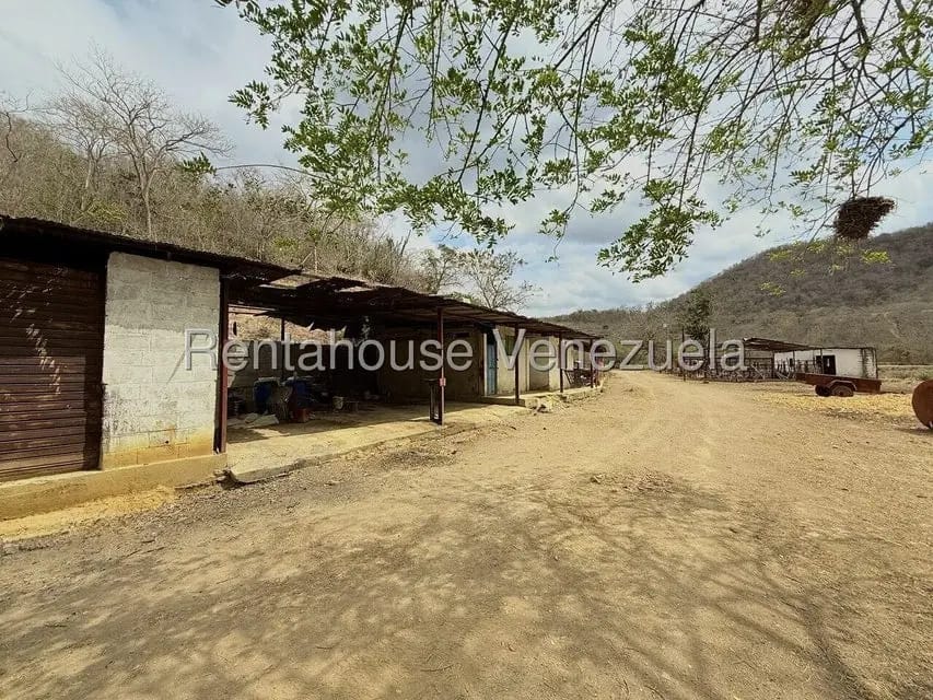 Terreno (Finca) en Venta en Municipio Peña, Yaracuy - 34