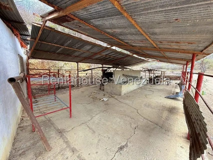Terreno (Finca) en Venta en Municipio Peña, Yaracuy - 39