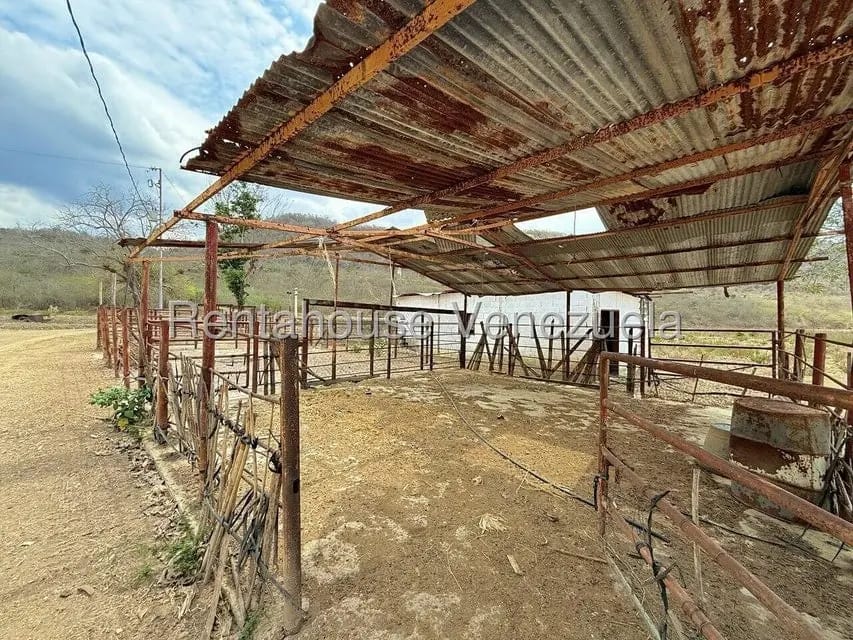 Terreno (Finca) en Venta en Municipio Peña, Yaracuy - 54