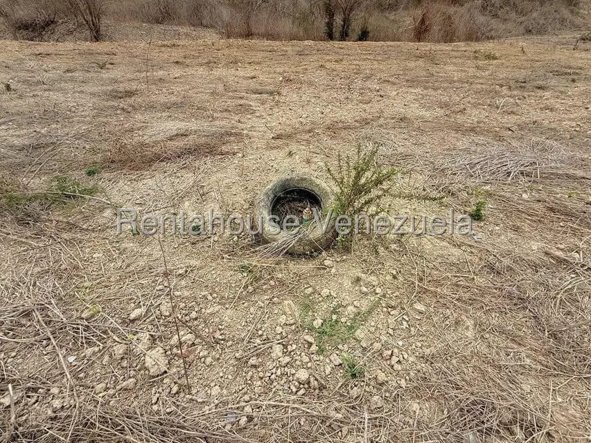 Terreno (Finca) en Venta en Municipio Peña, Yaracuy - 60