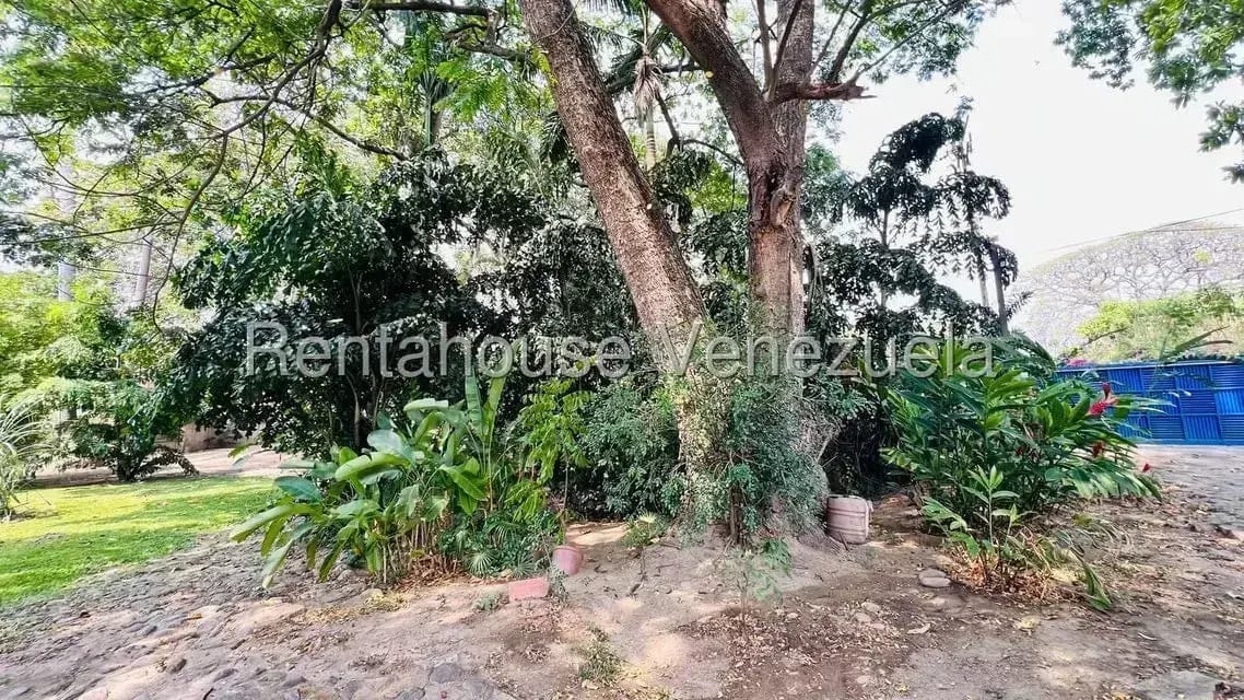 Casa (1 Nivel) en Venta en Santiago Mariño, Aragua - 50