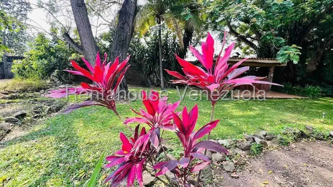 Casa (1 Nivel) en Venta en Santiago Mariño, Aragua - 52