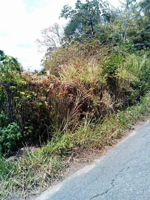 Terreno (Finca) en Venta en Sabaneta, Distrito Metropolitano - 11