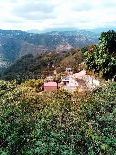 Terreno (Finca) en Venta en Sabaneta, Distrito Metropolitano - 13