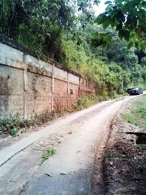 Terreno (Finca) en Venta en Sabaneta, Distrito Metropolitano - 3