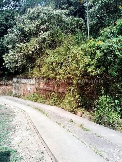 Terreno (Finca) en Venta en Sabaneta, Distrito Metropolitano - 5