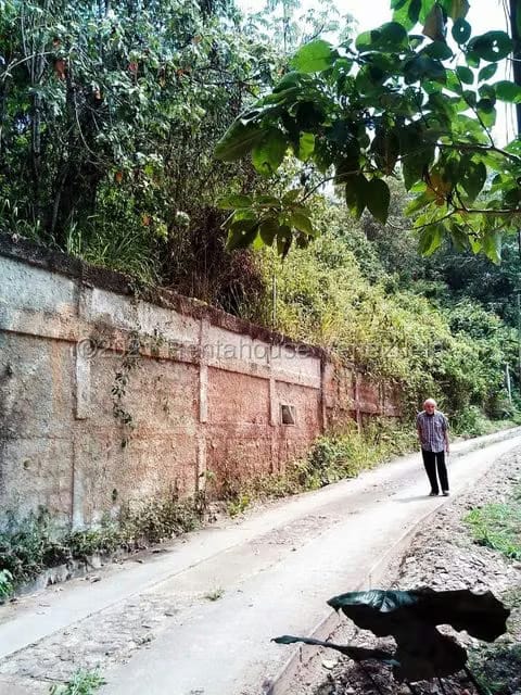 Terreno (Finca) en Venta en Sabaneta, Distrito Metropolitano - 6