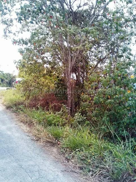 Terreno (Finca) en Venta en Sabaneta, Distrito Metropolitano - 8