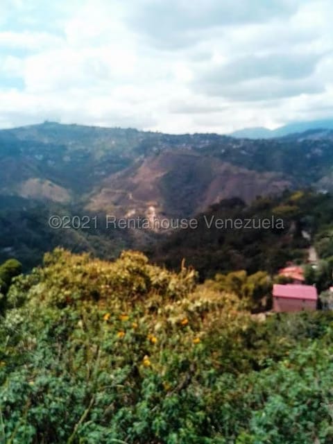 Terreno (Finca) en Venta en Sabaneta, Distrito Metropolitano - 9